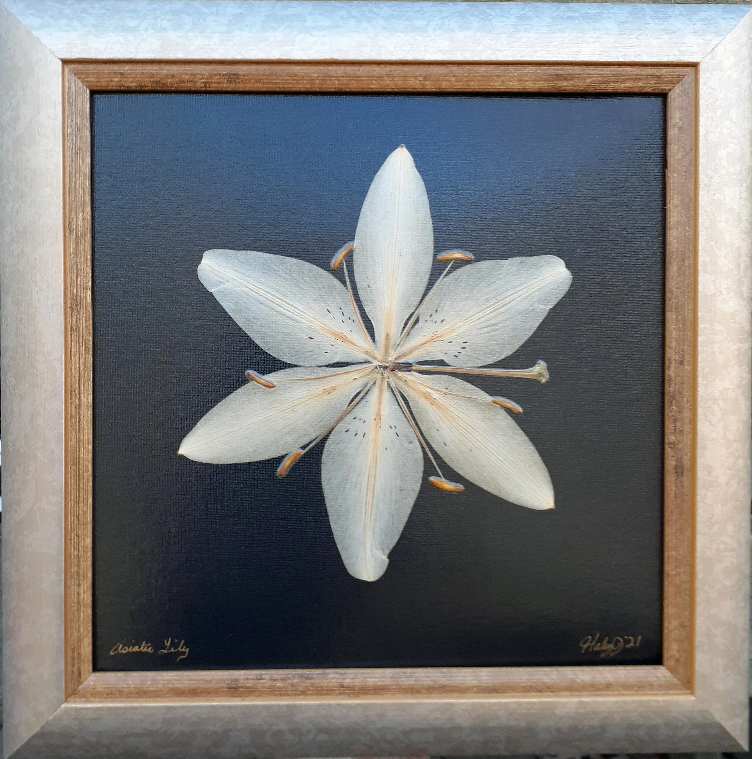 Ivory Asiatic Lily 15 x 15 wall art — Haley J's Intrinsic Natural Art